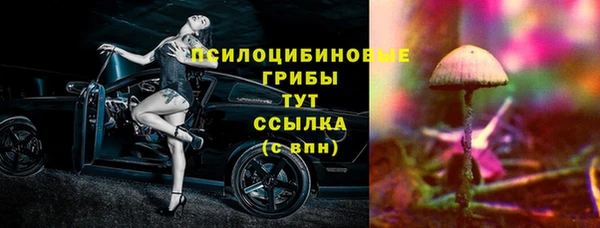 шишки Аркадак