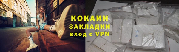 шишки Аркадак