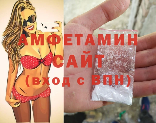шишки Аркадак