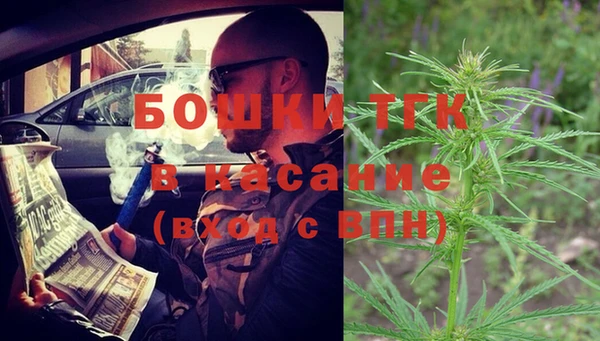 шишки Аркадак