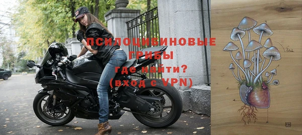 шишки Аркадак