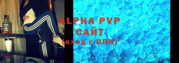 шишки Аркадак